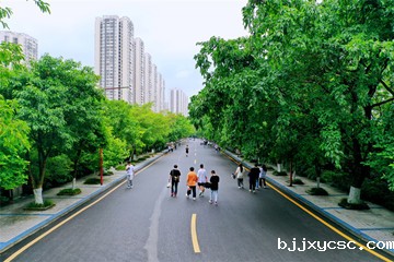 校园大道